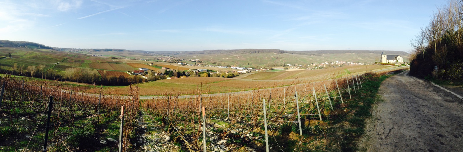 012 Nos vignes